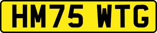 HM75WTG