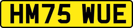 HM75WUE