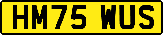 HM75WUS