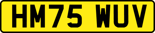 HM75WUV