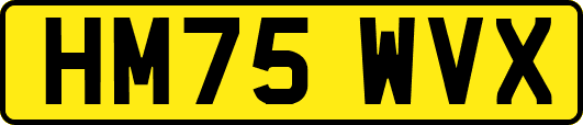 HM75WVX