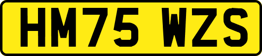 HM75WZS