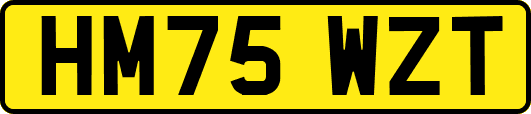 HM75WZT