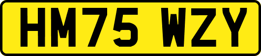HM75WZY