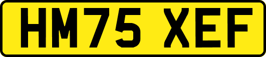 HM75XEF