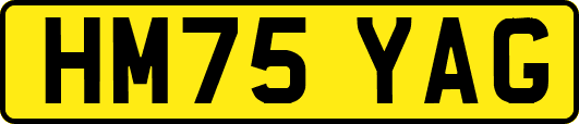 HM75YAG