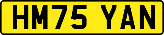 HM75YAN