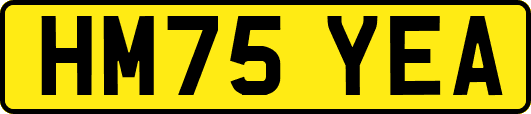 HM75YEA