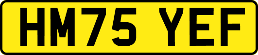 HM75YEF
