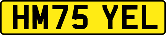 HM75YEL