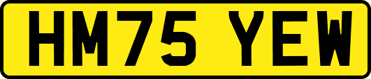 HM75YEW