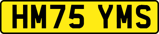 HM75YMS