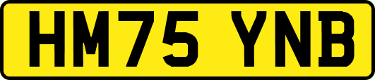 HM75YNB