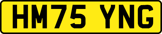 HM75YNG
