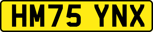 HM75YNX