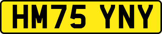 HM75YNY