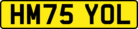 HM75YOL
