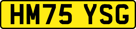 HM75YSG