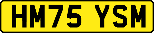 HM75YSM