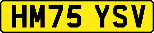 HM75YSV