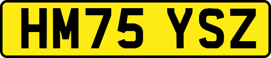 HM75YSZ
