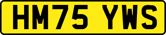 HM75YWS