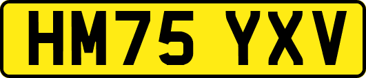HM75YXV