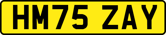HM75ZAY