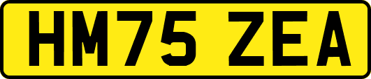 HM75ZEA