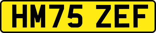 HM75ZEF