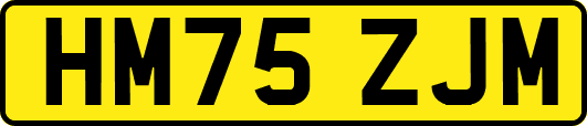 HM75ZJM