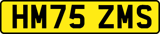 HM75ZMS