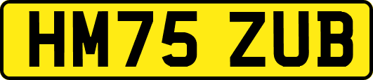 HM75ZUB
