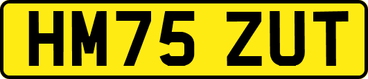 HM75ZUT