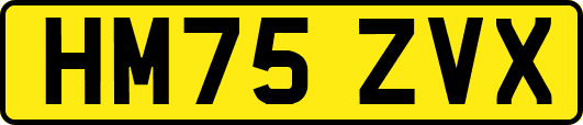 HM75ZVX