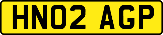 HN02AGP