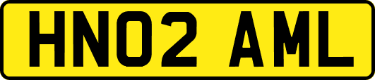 HN02AML