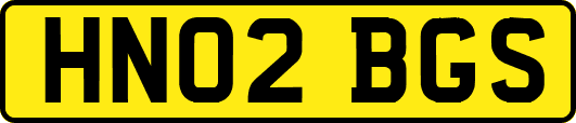 HN02BGS