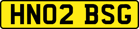 HN02BSG