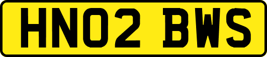 HN02BWS