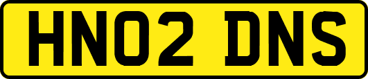 HN02DNS