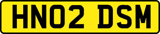 HN02DSM