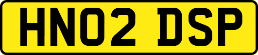 HN02DSP