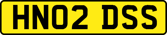 HN02DSS