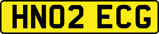 HN02ECG