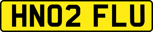 HN02FLU