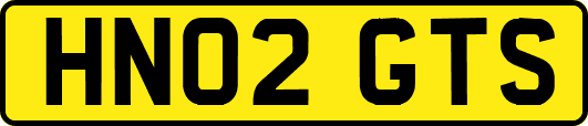 HN02GTS