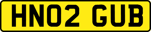 HN02GUB