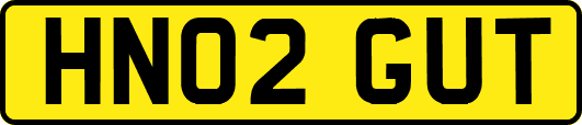 HN02GUT