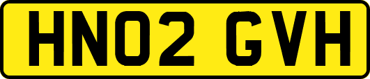 HN02GVH